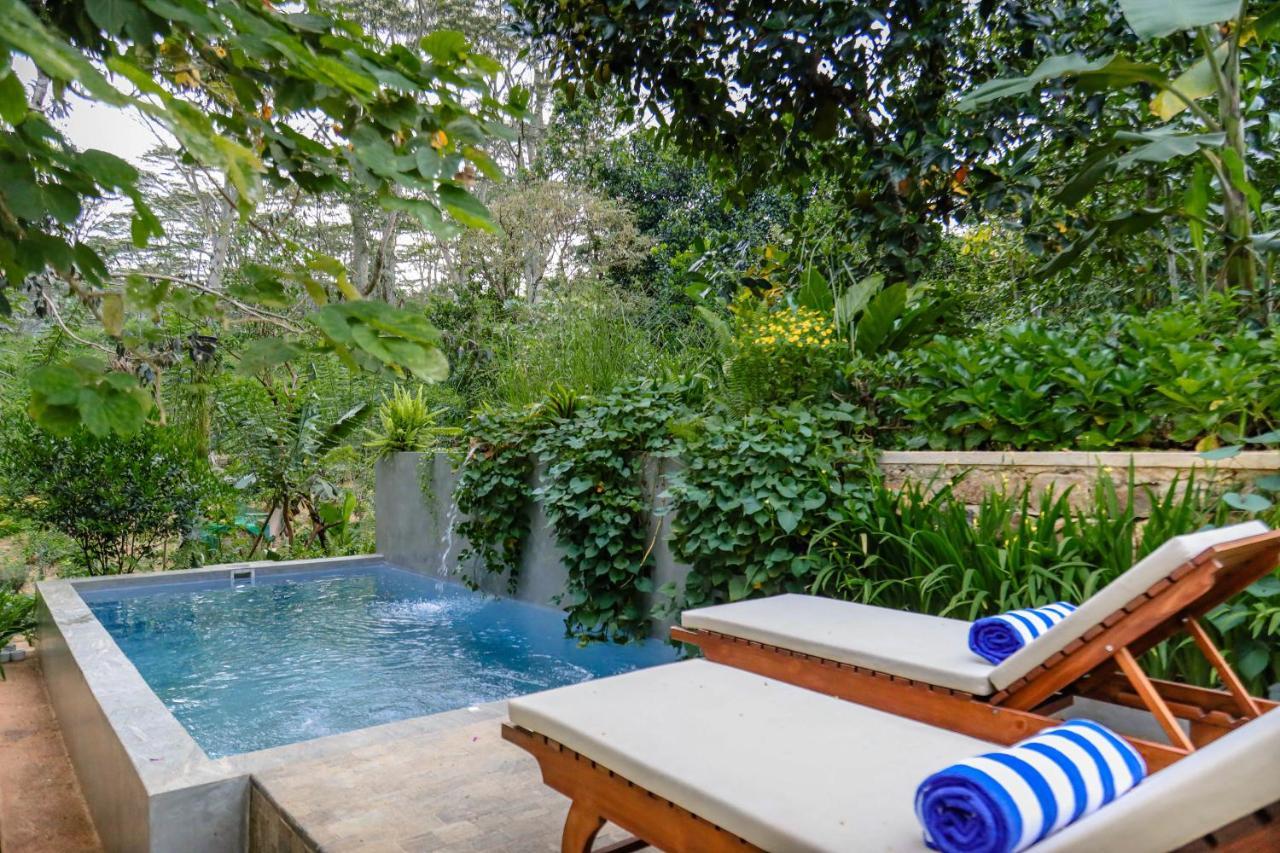Tranquilisle Hotel Kandy Exterior photo